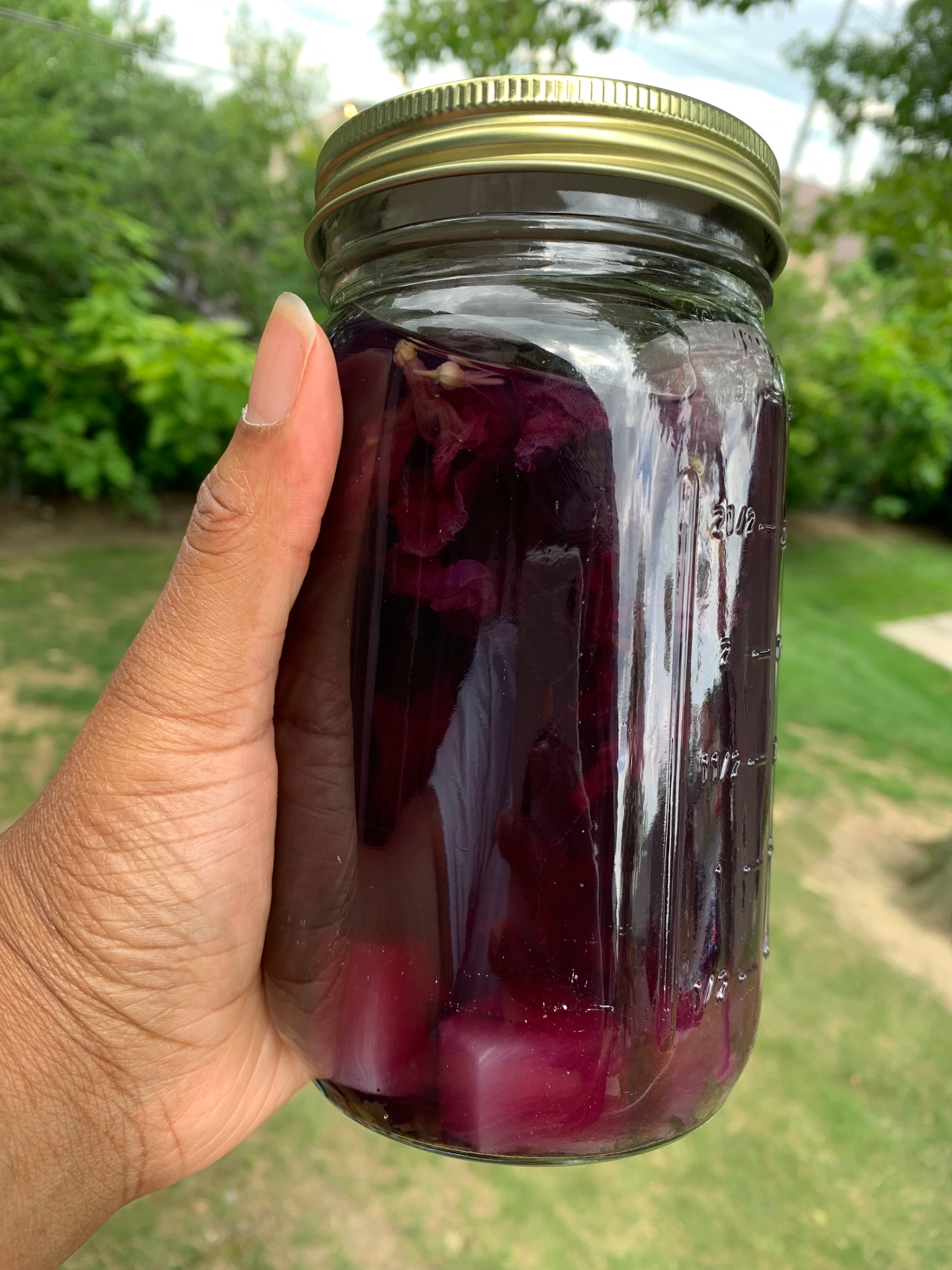 Purple herbal infusion